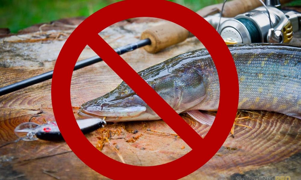рыбалка запрет