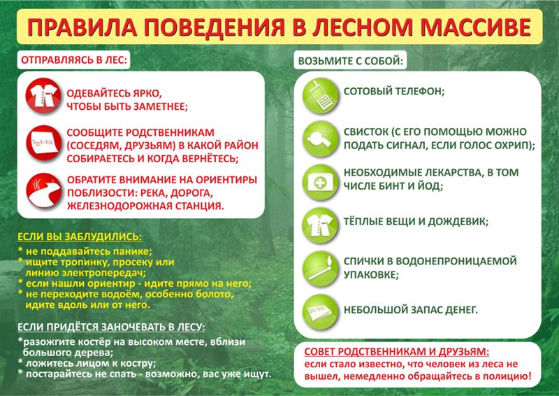 22SASDSGTRDHGFDHправила_в_лесу.jpg