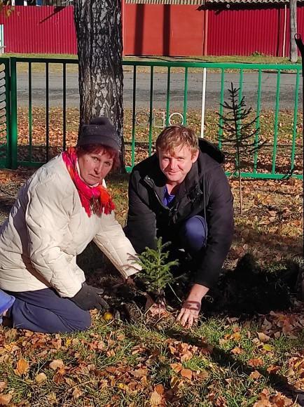 11 Линево посадка саженцев