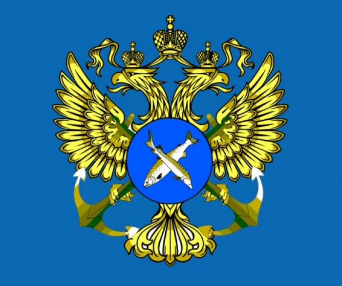 1562661242 Rosrybolovstvo pozhalovalos na nedo