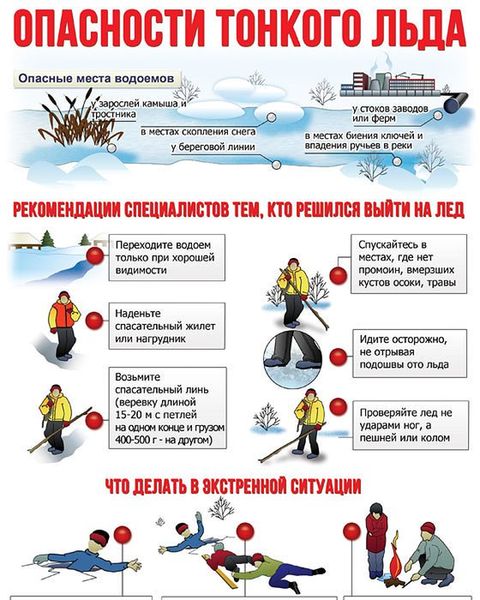 3333tyujik