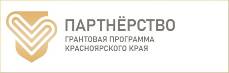 981SПартнерство