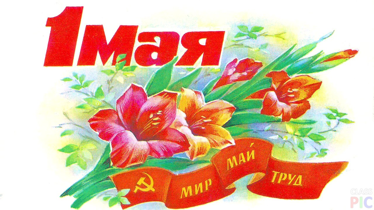 otkrytka k 1 maja s narisovannymi gladiolusami