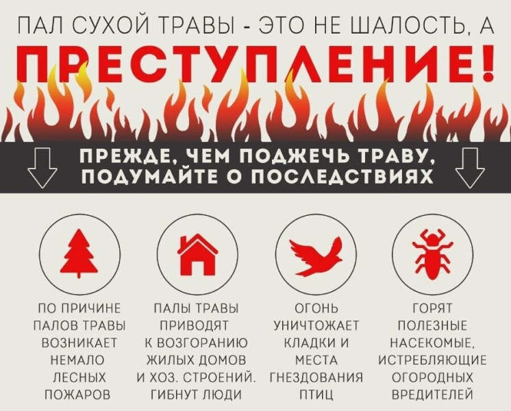 Безымянный
