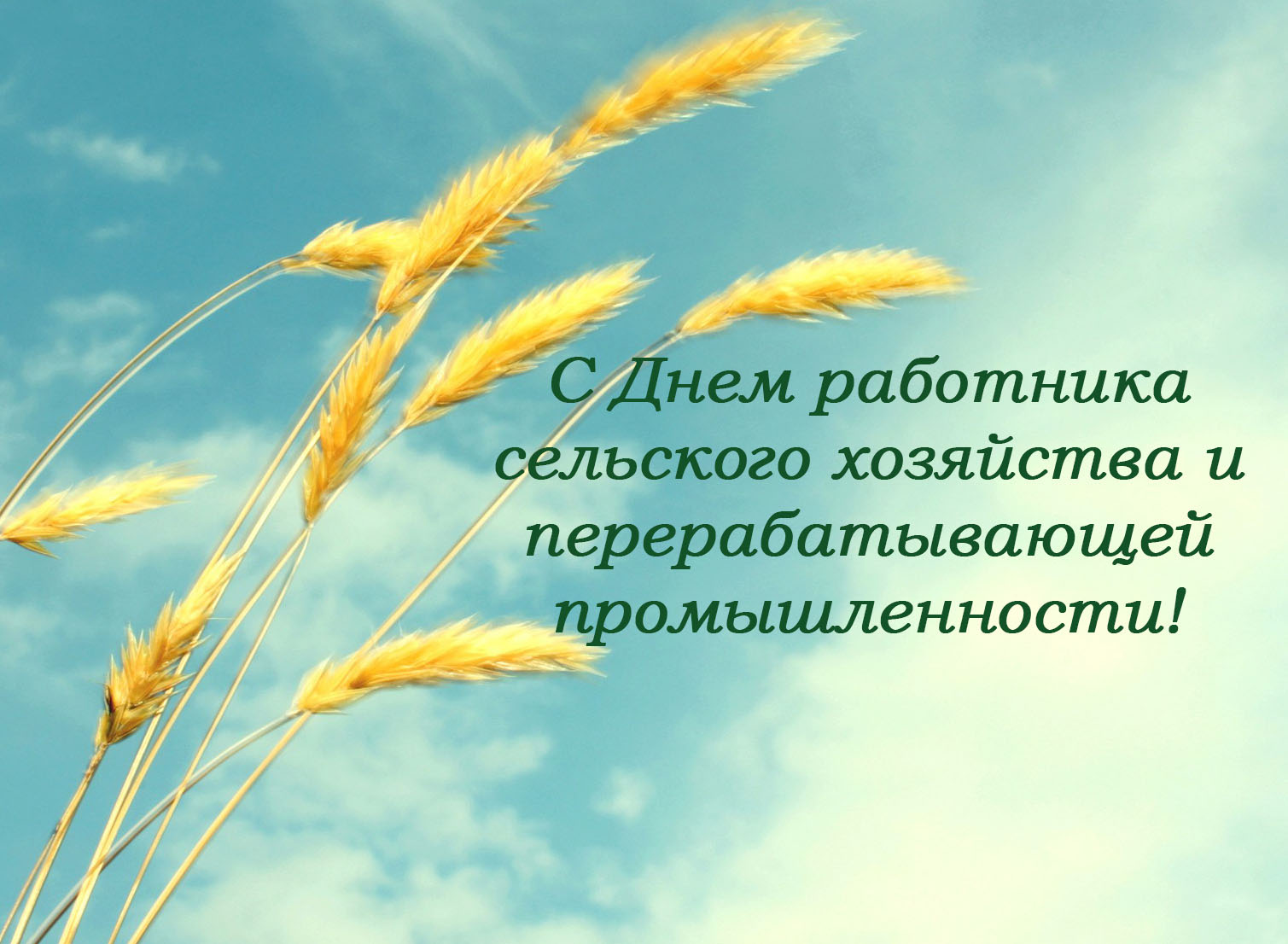 С Днем Сельхоз